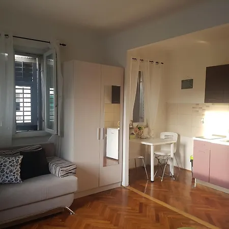 Apartment Finta Center *